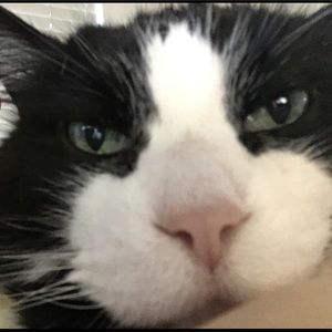 Meet your Posher, Paul